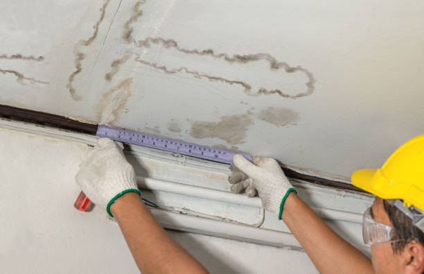 Reliable Flood Cleanup contractor in Yelm, WA by Water Damage Irwin
